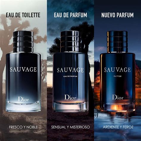 savagr dior|sauvage dior sephora.